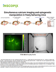 nVoke-Poster-SfN2016-Cover.png