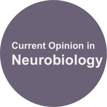 CurrentOpinioninNeurobiology.png