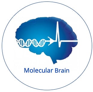 Molecular Brain Logo